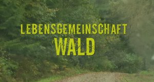 Lebensgemeinschaft Wald – Bild: ARD-alpha