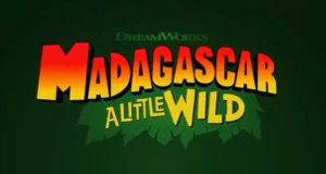 Madagascar – Die kleine Wildnis