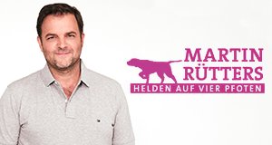 Martin Rütters Helden auf vier Pfoten – Bild: TVNOW/Boris Breuer Martin Rütters Helden auf vier Pfoten – Bild: TVNOW/Boris Breuer