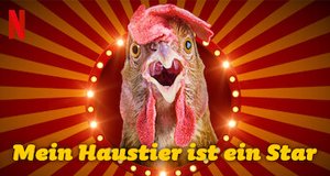 Mein Haustier ist ein Star – Bild: Netflix
