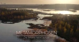 Metamorphosen – Die Wildnis kehrt zurück – Bild: arte/Längengrad Filmproduktion