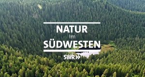 Natur im Südwesten