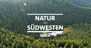 Natur im Südwesten – Bild: SWR