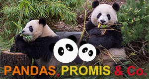 Pandas, Promis & Co. – Bild: rbb/Thomas Ernst Pandas, Promis & Co. – Bild: rbb/Thomas Ernst