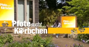 Pfote sucht Körbchen – Bild: NDR Pfote sucht Körbchen – Bild: NDR