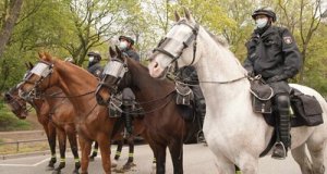 Polizeipferde im Einsatz – Bild: TVNOW/Ralf Heinze