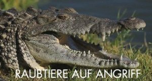 Raubtiere auf Angriff – Bild: FOX NETWORKS GROUP GERMANY