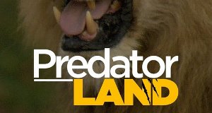 Reich der Raubkatzen – Bild: Nat Geo WILD