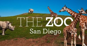 San Diego Zoo – Bild: Animal Planet