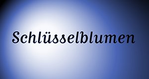 Schlüsselblumen