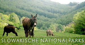Slowakische Nationalparks – Bild: arte/doc.station/Michael Lewandowski Slowakische Nationalparks – Bild: arte/doc.station/Michael Lewandowski