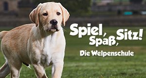 Spiel, Spaß, Sitz! – Die Welpenschule – Bild: Channel 4/Sat.1 Gold
