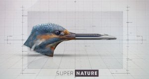 Superkräfte der Natur – Bild: Planète+/TV Only Superkräfte der Natur – Bild: Planète+/TV Only