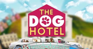 The Dog Hotel – Bild: UKTV