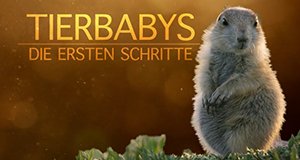 Tierbabys – Die ersten Schritte – Bild: Servus TV Tierbabys – Die ersten Schritte – Bild: Servus TV