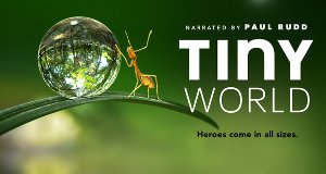 Tiny World – Bild: Apple TV+ Tiny World – Bild: Apple TV+