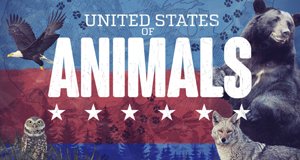 United States of Animals – Bild: Nat Geo Wild