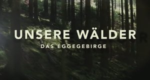 Unsere Wälder – Bild: WDR Unsere Wälder – Bild: WDR