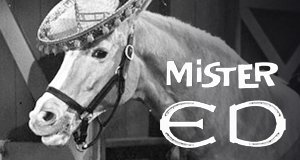 Mr. Ed Mr. Ed