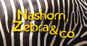 Nashorn, Zebra & Co. – Bild: BR/Zoo Magdeburg