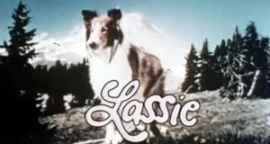 Lassie Lassie