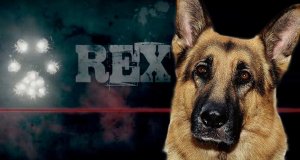 Kommissar Rex – Bild: Beta Film