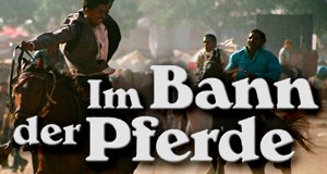 Im Bann der Pferde – Bild: ZDF und SWR/Ilka Franzmann