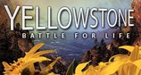 Yellowstone – Bild: BBC Yellowstone – Bild: BBC