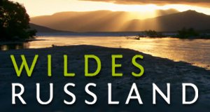Wildes Russland – Bild: Polyband/WVG Wildes Russland – Bild: Polyband/WVG
