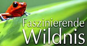 Faszinierende Wildnis – Bild: BBC