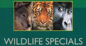 Wildlife Specials – Bild: BBC Wildlife Specials – Bild: BBC
