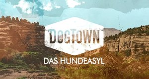 DogTown – Das Hundeasyl