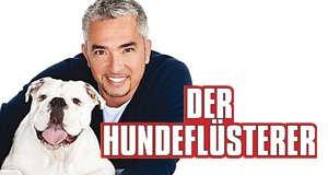 Der Hundeflüsterer – Bild: National Geographic Channel Der Hundeflüsterer – Bild: National Geographic Channel