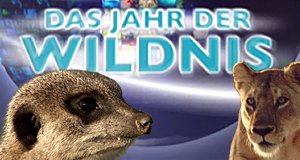 Das Jahr der Wildnis – Bild: PHOENIX / ZDF / arte Das Jahr der Wildnis – Bild: PHOENIX / ZDF / arte
