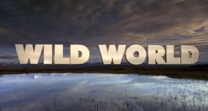 Wilde Paradiese – Bild: Nat Geo Wild Wilde Paradiese – Bild: Nat Geo Wild