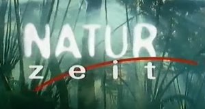 Naturzeit – Bild: ZDF Naturzeit – Bild: ZDF