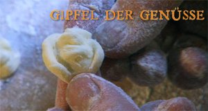 Gipfel der Genüsse – Bild: arte/EIKON SÜDWEST Gmbh Gipfel der Genüsse – Bild: arte/EIKON SÜDWEST Gmbh