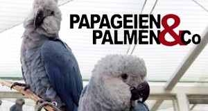 Papageien, Palmen & Co. httpsbilderfernsehseriendesendunghrv16406png
