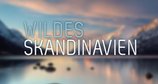 Wildes Skandinavien – Bild: arte/NDR/Jan Haft Wildes Skandinavien – Bild: arte/NDR/Jan Haft