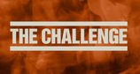 The Challenge – Bild: MTV Networks