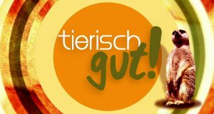 tierisch gut! – Bild: ARD/rbb tierisch gut! – Bild: ARD/rbb