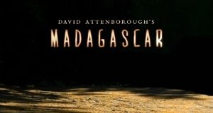 Madagaskar – Bild: BBC Madagaskar – Bild: BBC