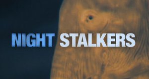 Jäger der Nacht – Bild: National Geographic Channel Australia Jäger der Nacht – Bild: National Geographic Channel Australia