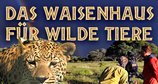 Das Waisenhaus für wilde Tiere – Bild: SWR/Harald Pokieser / SWR/Cosmos factory & Eikon Südwest