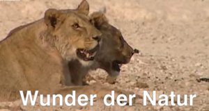 Wunder der Natur – Bild: arte Wunder der Natur – Bild: arte