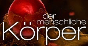 Der menschliche Körper – Bild: Polyband/WVG Der menschliche Körper – Bild: Polyband/WVG