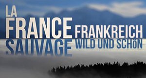 Frankreich – Wild und schön – Bild: arte/ORFIII Frankreich – Wild und schön – Bild: arte/ORFIII