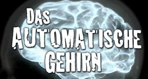 Das automatische Gehirn – Bild: colorFIELD