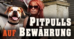 Pitbulls auf Bewährung – Bild: Discovery Communications, LLC./TLC