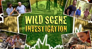 Wildtiere in der Kamerafalle – Bild: National Geographic Channel (Screenshot) Wildtiere in der Kamerafalle – Bild: National Geographic Channel (Screenshot)